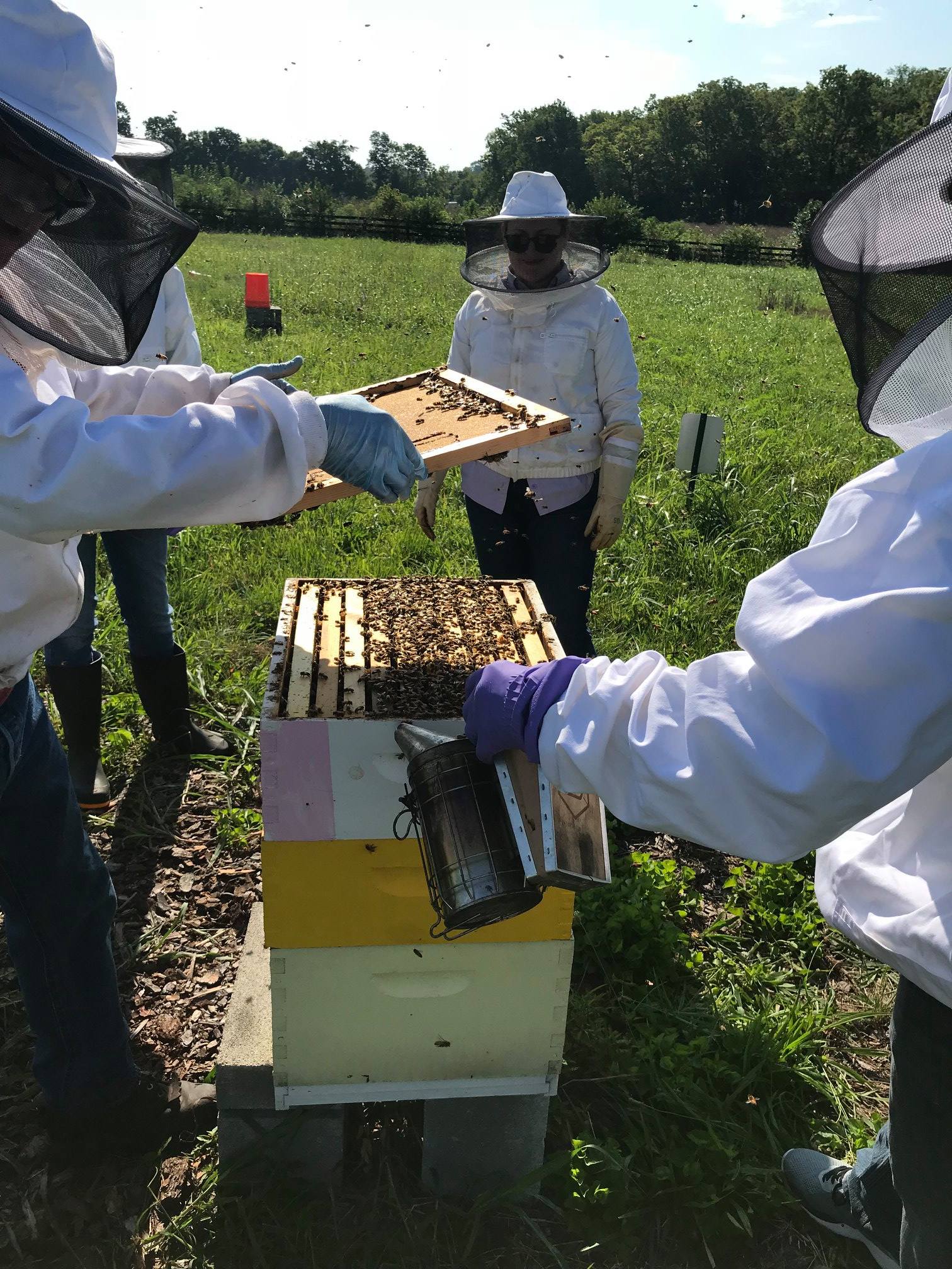 Bee Calm Naturals - Bees & Beekeeping - Beekeeping