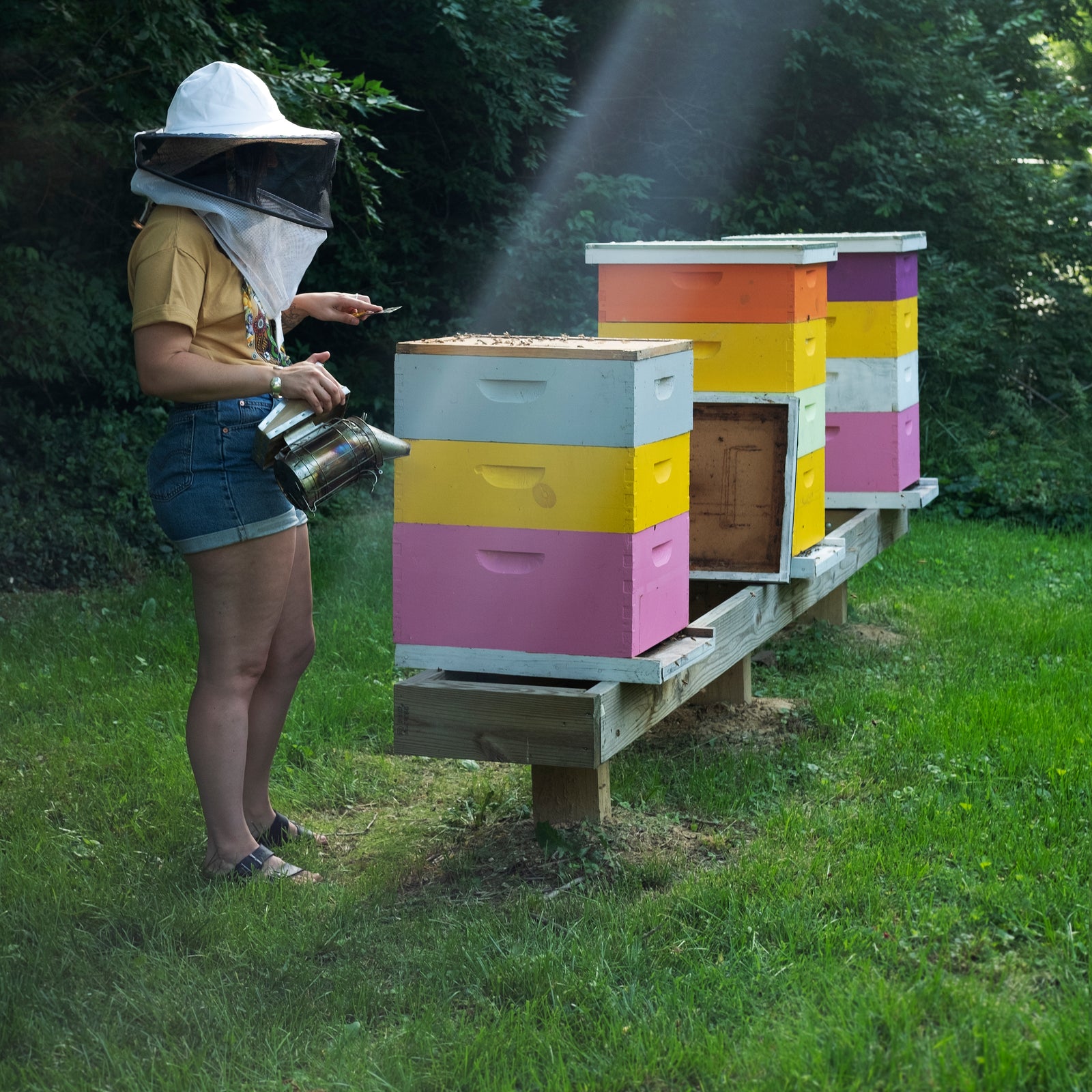 Meet Our Team: Marketing & Product Development Worker Bee, Junior Apiarist