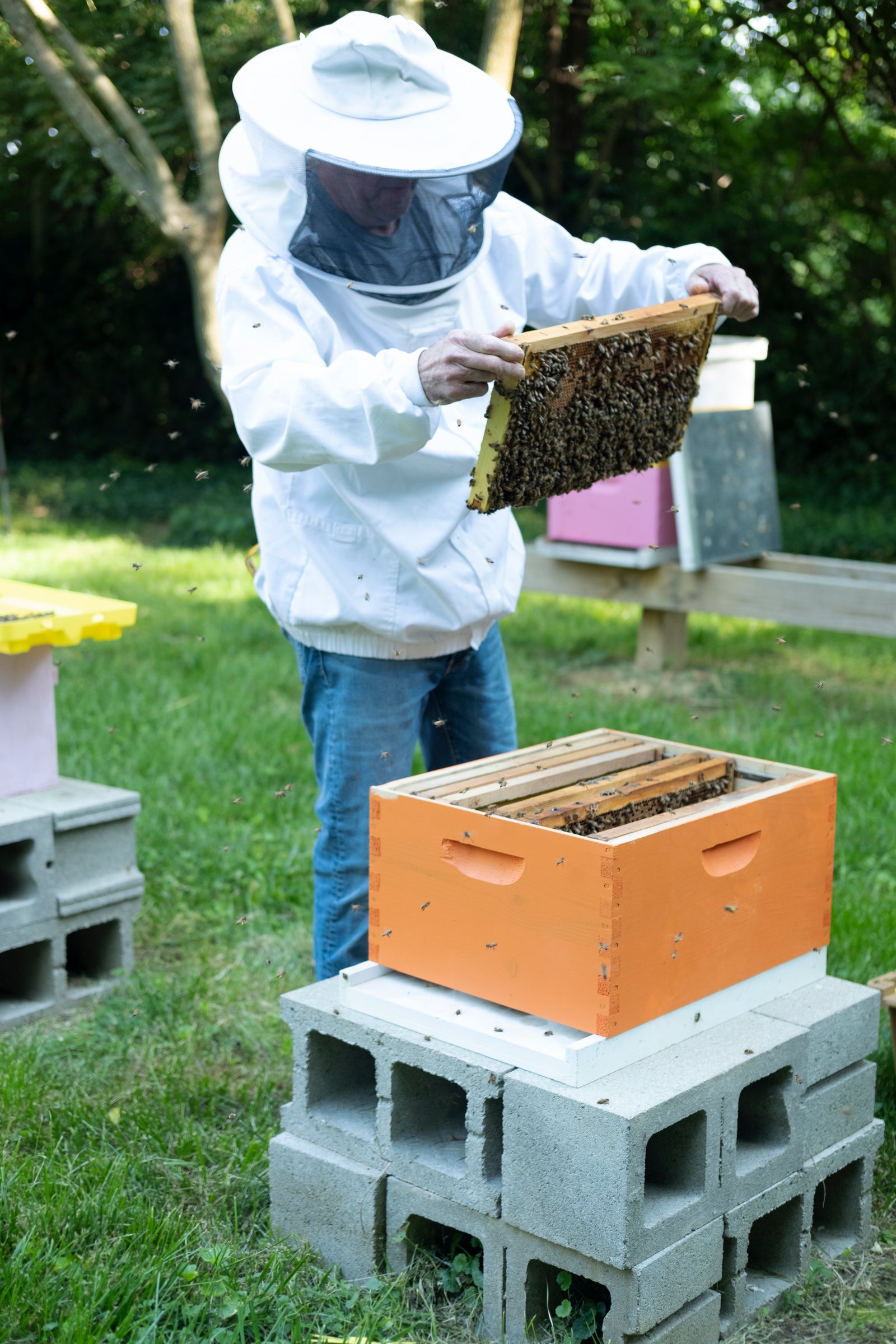 Meet Our Team: Chief Apiarist