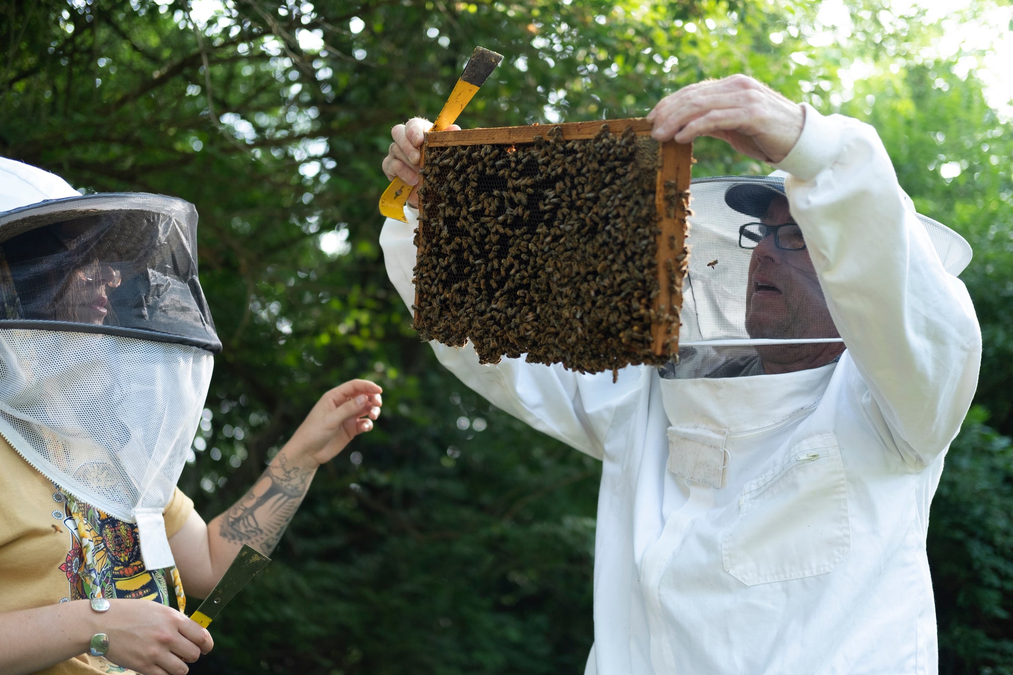 Bee Calm Naturals - Beehind the Brand - Beekeeping